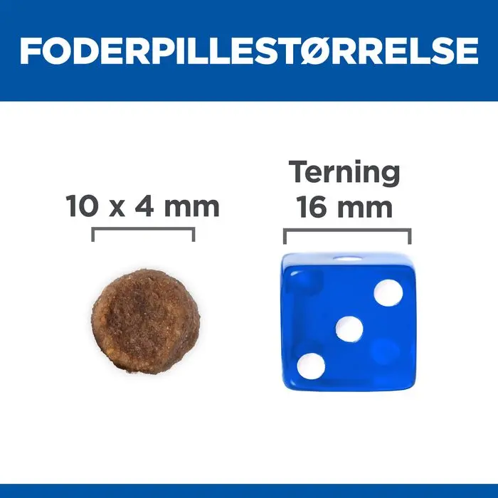Miniaturebillede 2