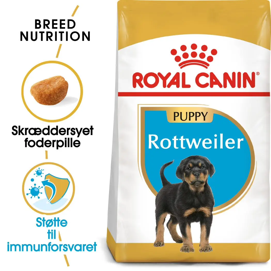 Puppy Rottweiler 12 kg - Image 2