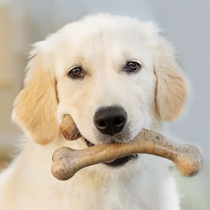 Puppy Wishbone bacon medium - Image 3