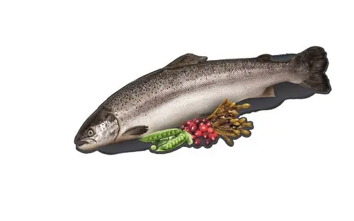 Adult Wilderness Fresh Water fisk 7 kg - Image 2
