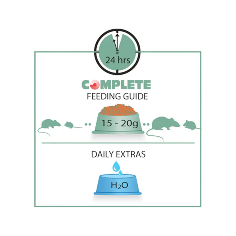 Rotte og Mus Complete - Image 3