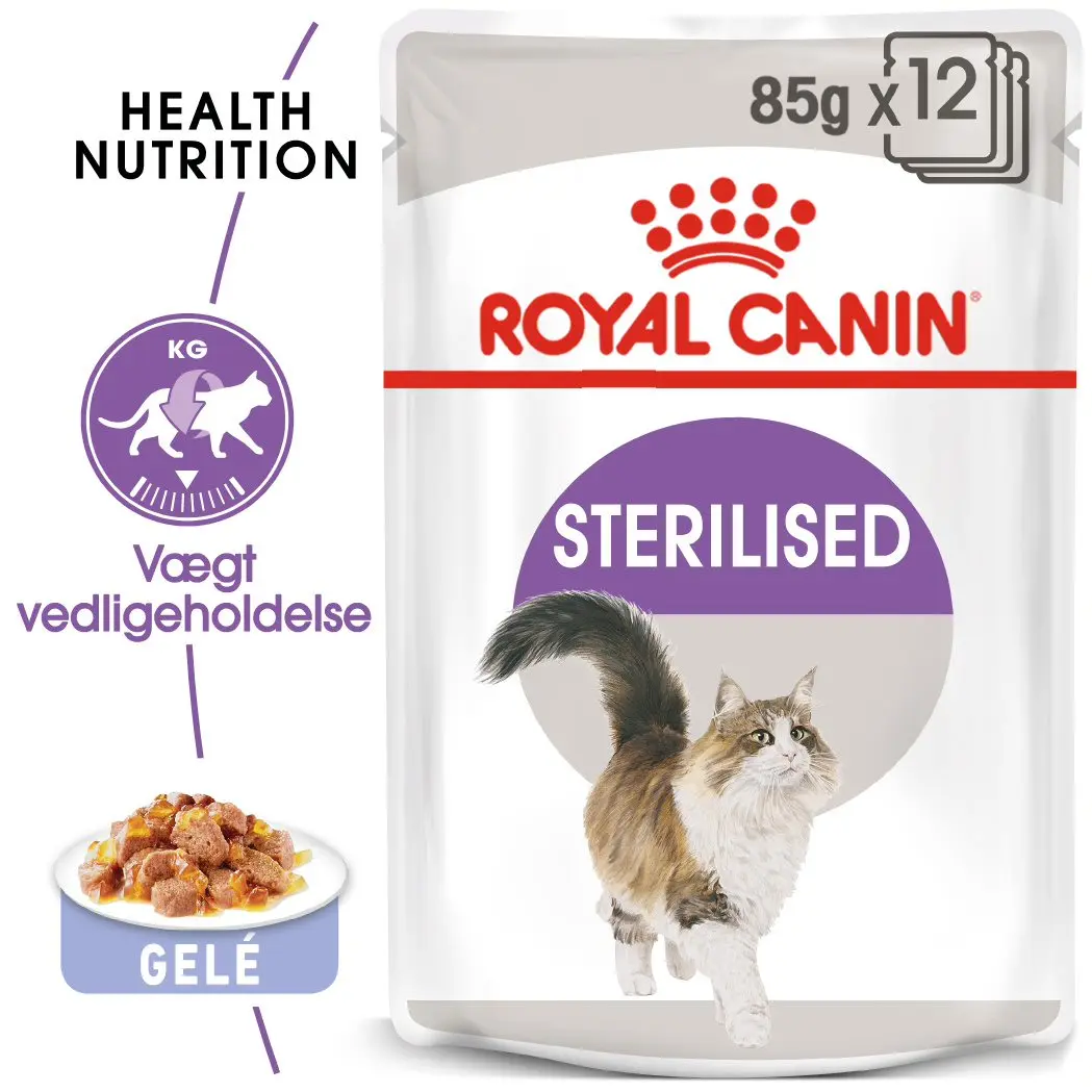 Adult Jelly, menuboks pouch Sterilised 12x85 g - Image 2