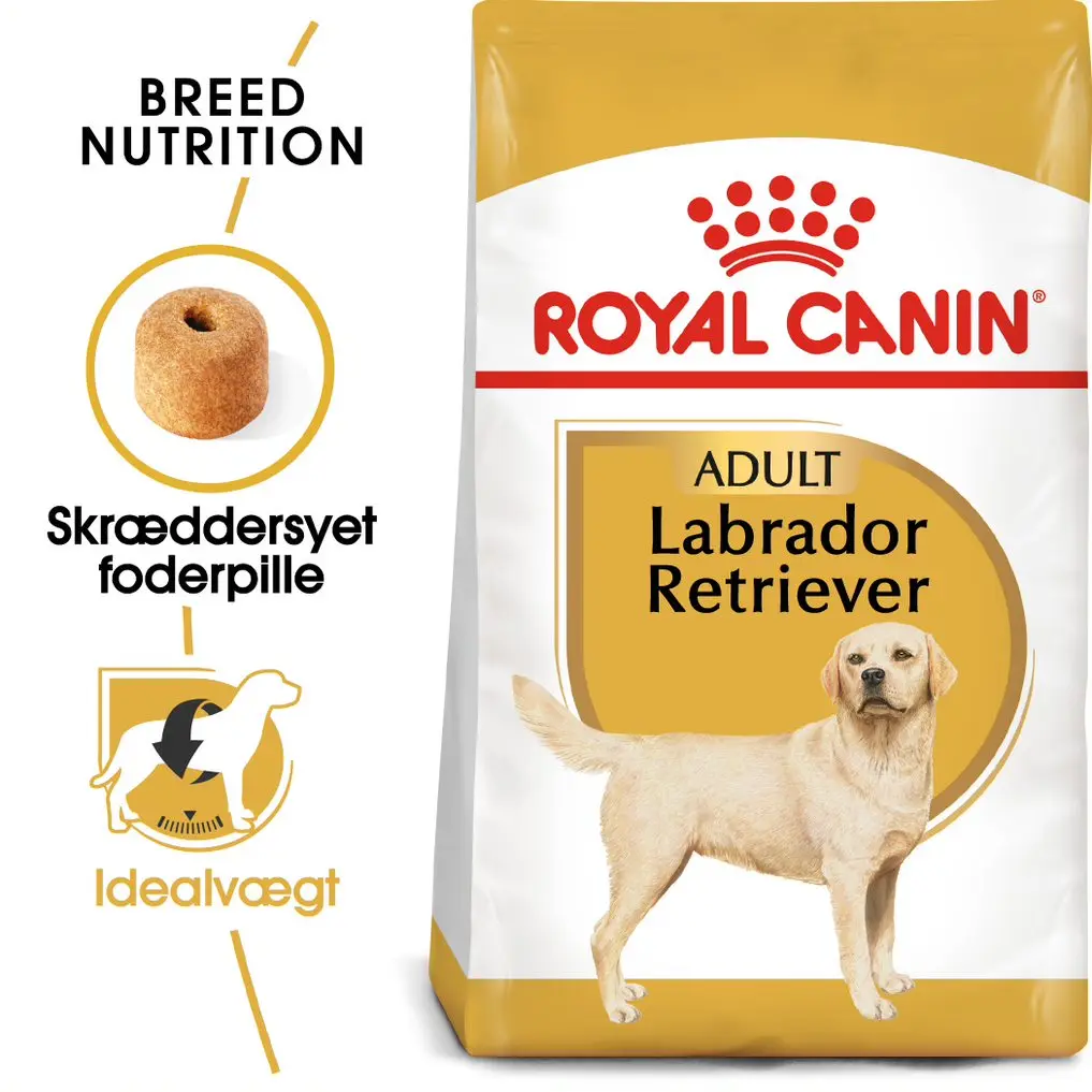 Adult Labrador Retriever 12 kg - Image 2