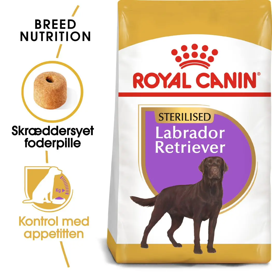 Adult Labrador Retriever Sterilised 12 kg - Image 2