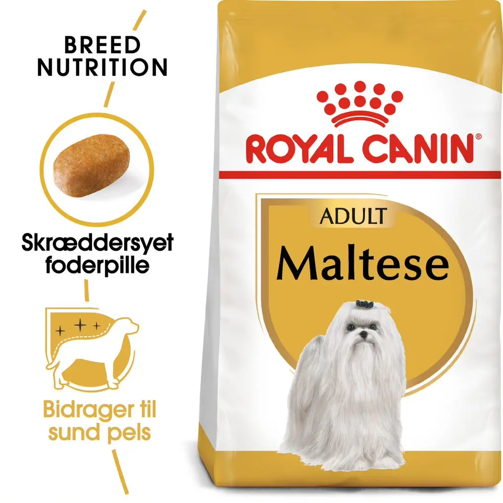 Adult Malteser 1,5 kg - Image 2