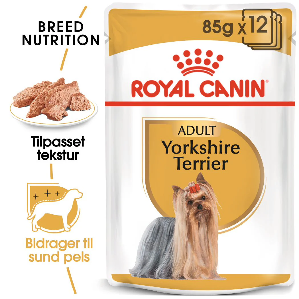Adult, menuboks pouchYorkshire Terrier 12x85 g - Image 2