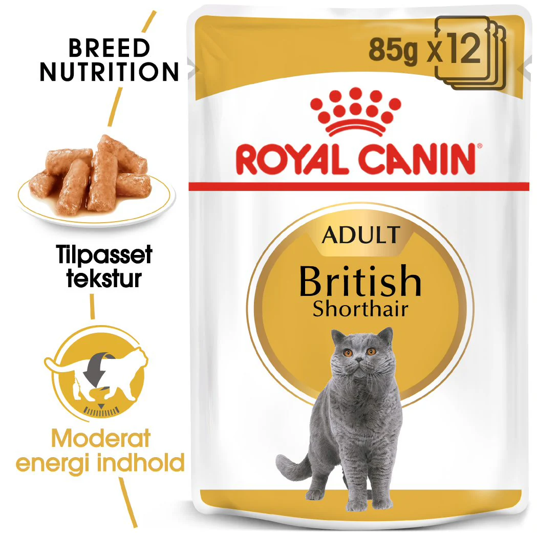 Adult Paté, menuboks pouch British Shorthair 12x85 g - Image 2