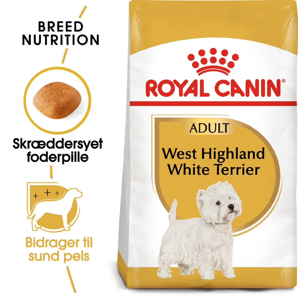Adult West Highland Terrier 3 kg - Image 2