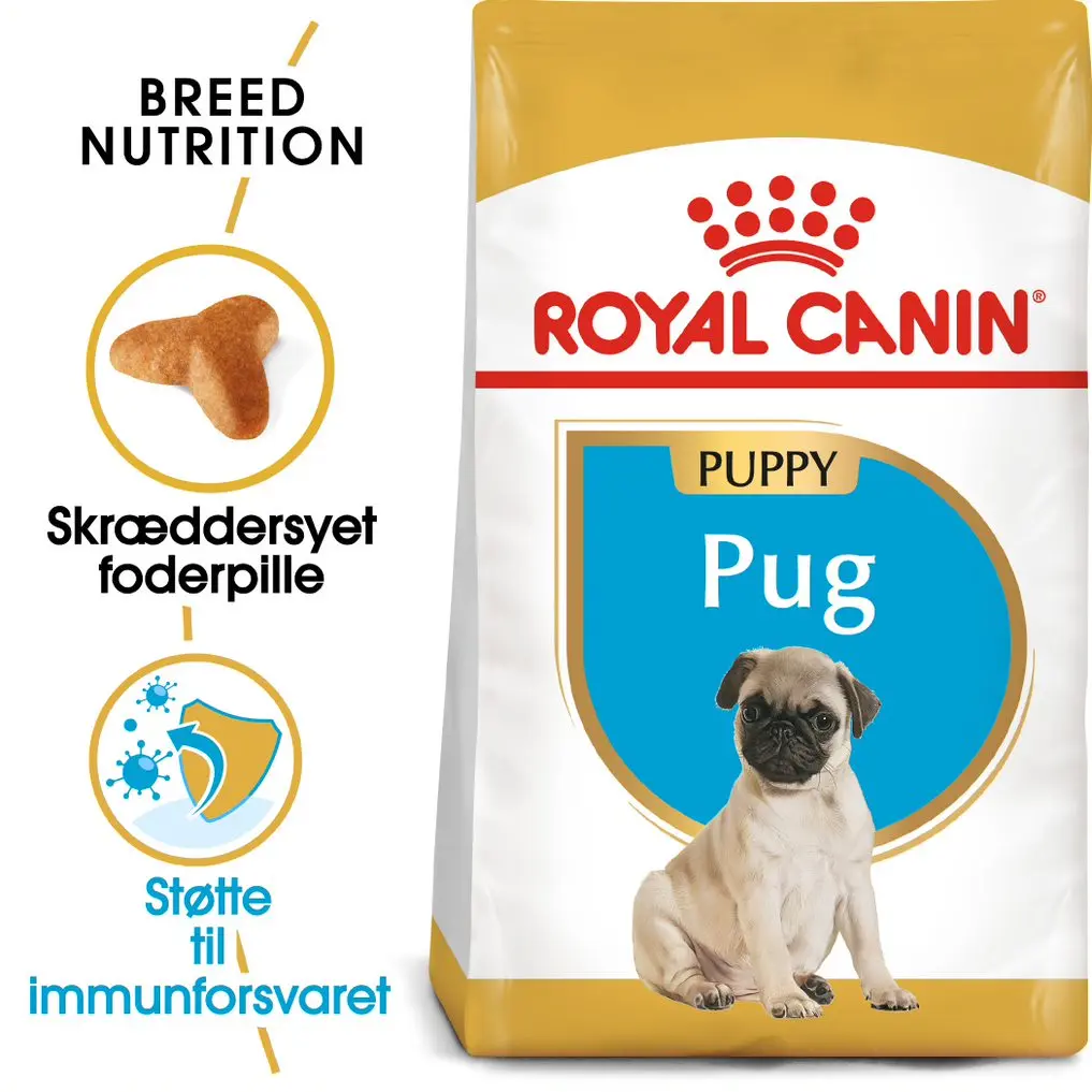 Puppy Mops 1,5 kg - Image 2