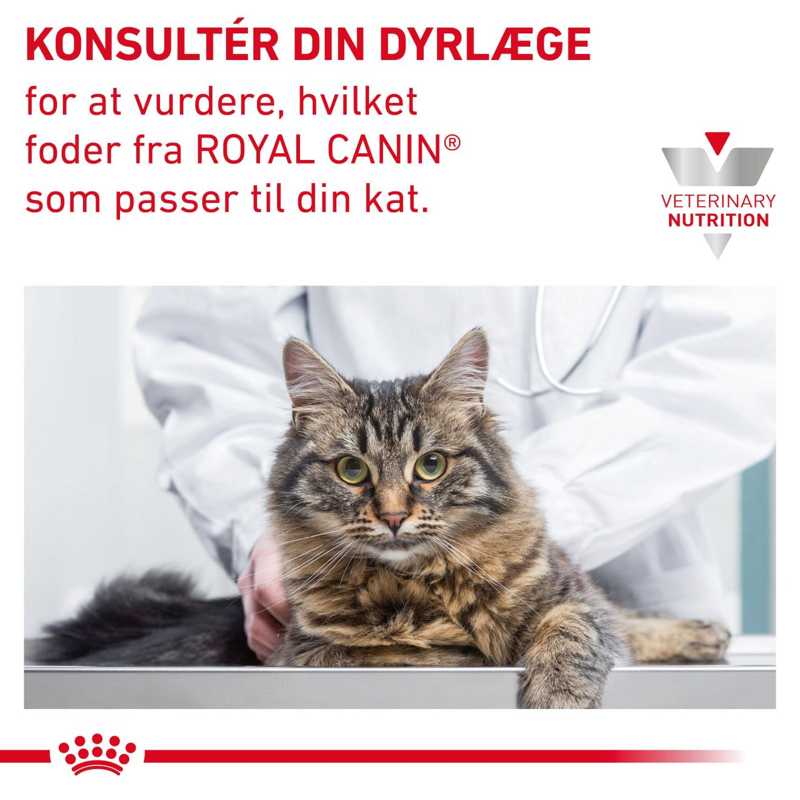 VHN Derma Hypoallergenic 4,5 kg - Image 9