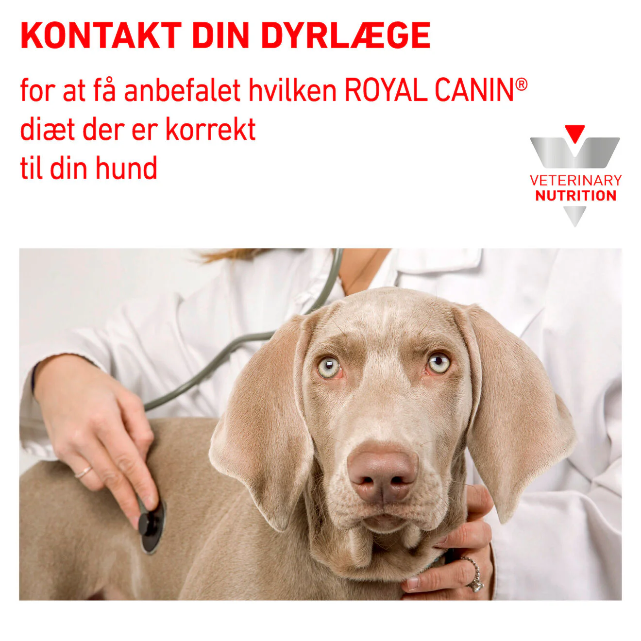 VHN Derma Hypoallergenic 7 kg - Image 8