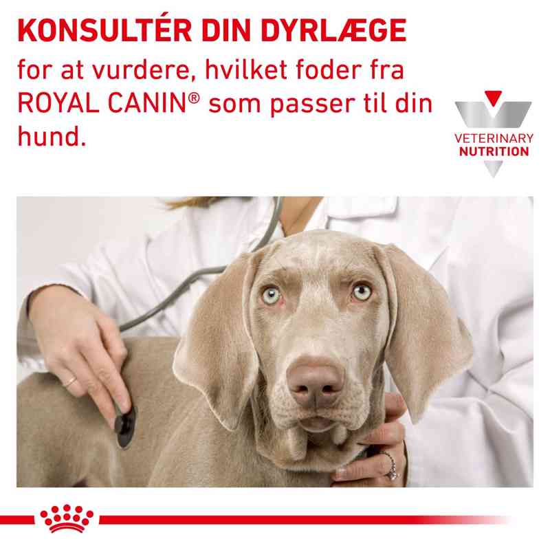 VHN DermaHypoallerg.Mod.Calori 1,5 kg - Image 7