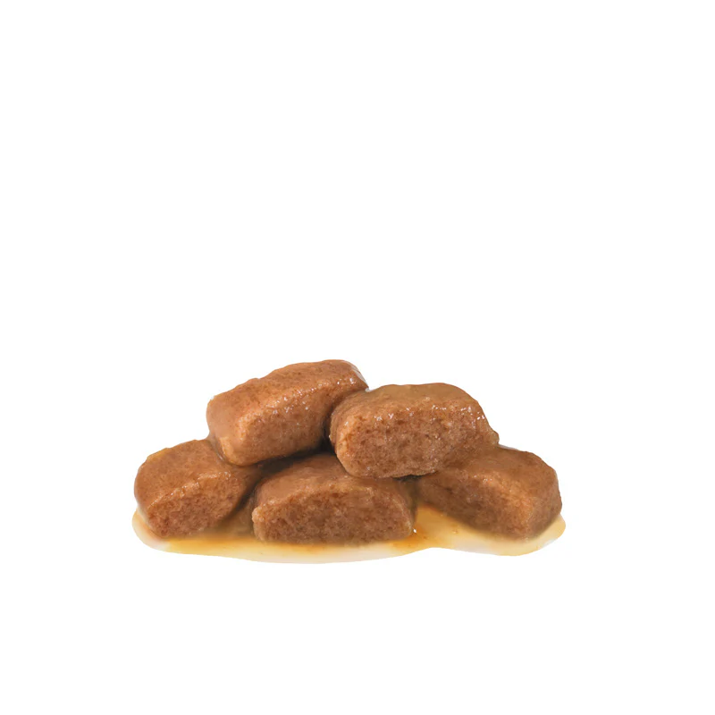 VHN Gastrointestinal Gravy Pouch 12x85g - Image 10