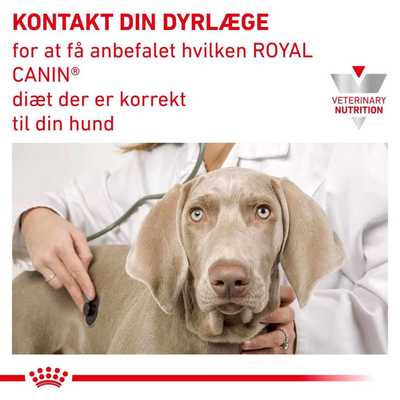 VHN Urinary S/O Small 4 kg - Image 7