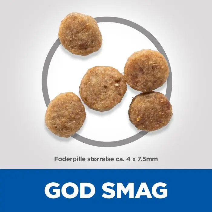 Miniaturebillede 2