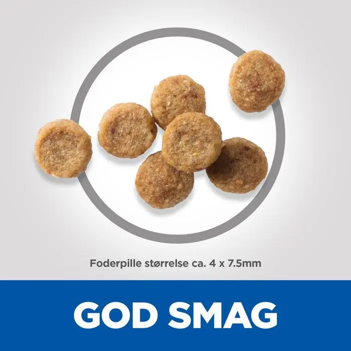 Miniaturebillede 2