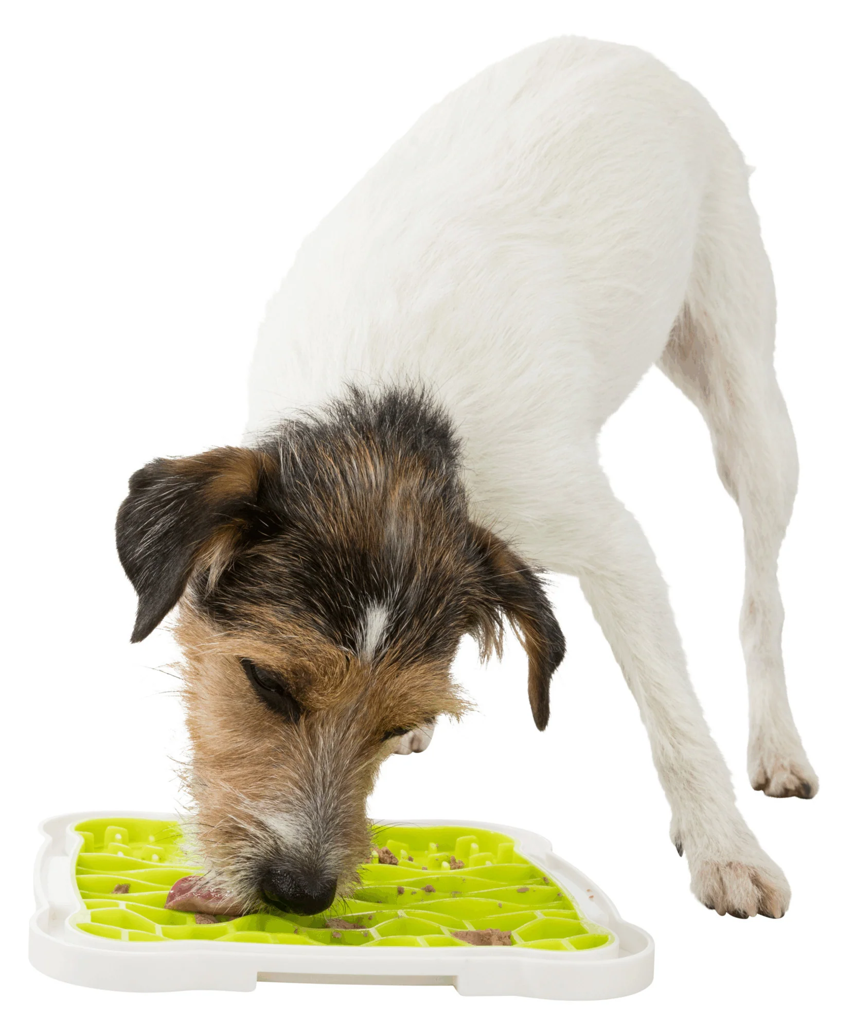 Lick´nSnack måtte 20x20 cm - Image 5