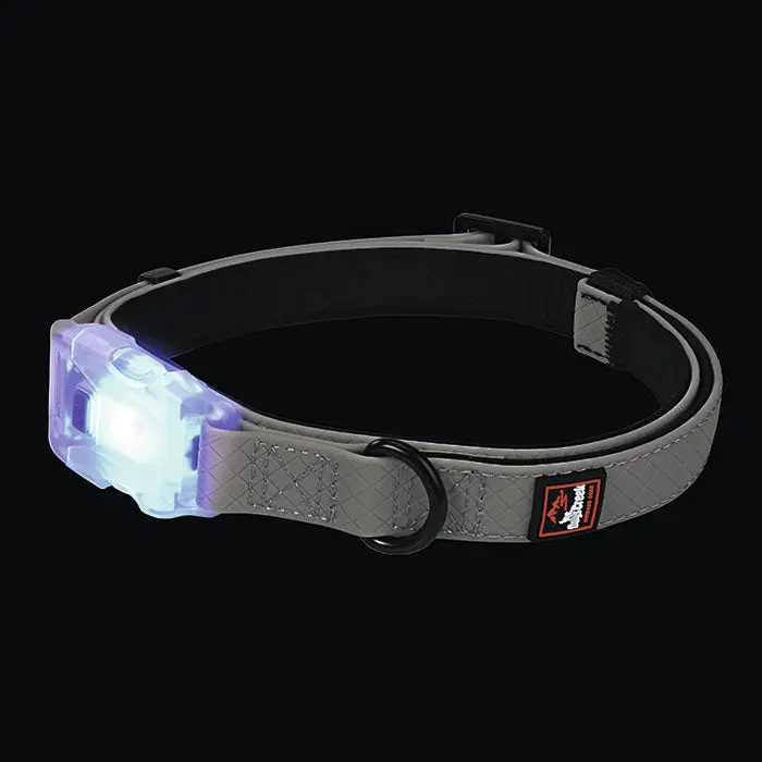 USB lyshalsbånd Polar Light L ca 300 m synlighed grå - Image 2