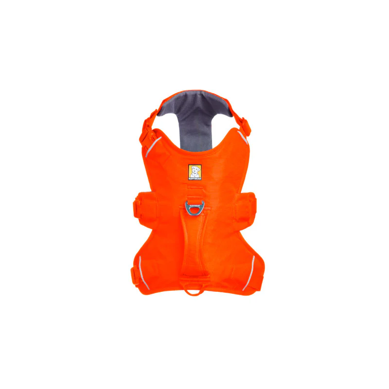 Web Master sele S Balze Orange - Image 2