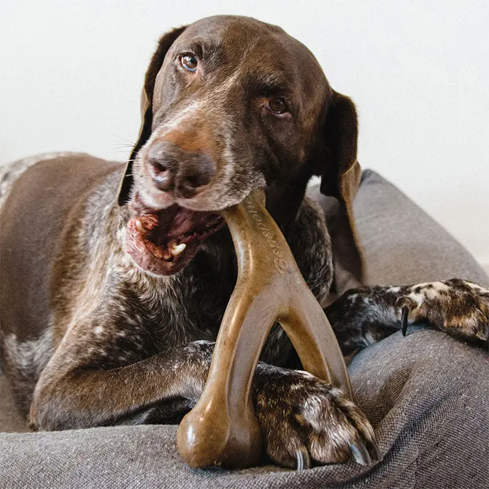 Wishbone bacon giant - Image 3